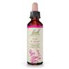 Bach Original Flower Remedies, Elm - Be Efficient - Natural Homeopathic Flower Essence for Emotional Balance - Vegan, Gluten Free, Sugar Free - 20mL Dropper view 1