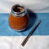 ARGENTINA MATE GOURD YERBA TEA CUP WITH STRAW BOMBILLA KIT DIET DETOX DRINK 0052 view 1