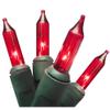 Brite Star 100 Lt Designer Series Mini Lights, Red, Green Wire view 1