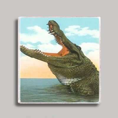 Alligator Refrigerator Magnet