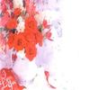 IGC 50 Memo/Enclosure/Floral/Gift Cards - Red Roses (MC2002) view 1