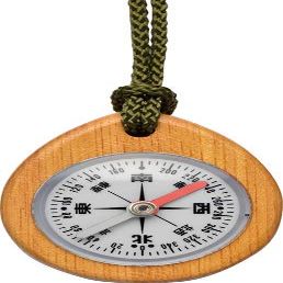 Shinwa Sokutei J 75662 Directional Compass, Wooden