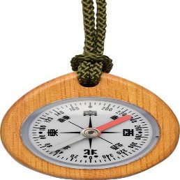 Shinwa Sokutei J 75662 Directional Compass, Wooden