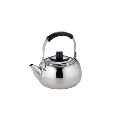 "Teapot Ichiban" Teapot with Vine with Tea Strainer 16.9 fl oz (500 cc)