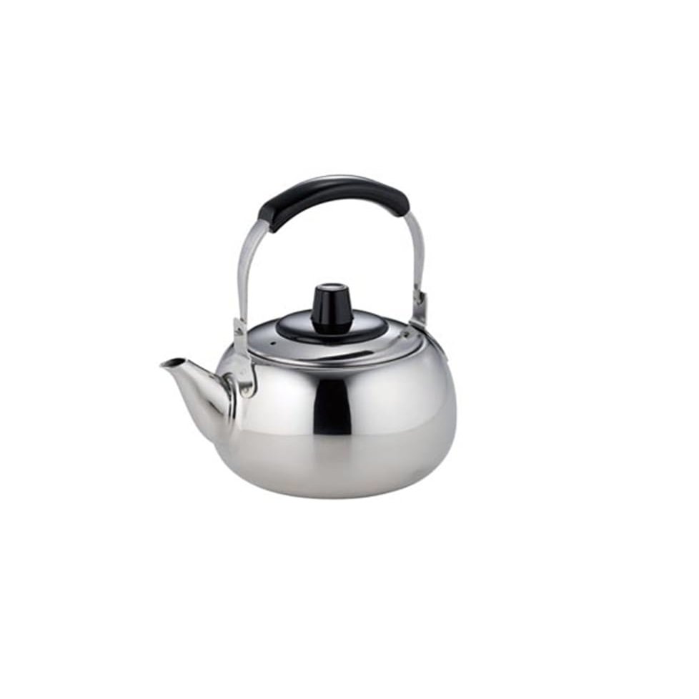 "Teapot Ichiban" Teapot with Vine with Tea Strainer 16.9 fl oz (500 cc)