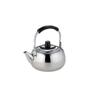 "Teapot Ichiban" Teapot with Vine with Tea Strainer 16.9 fl oz (500 cc) view 1