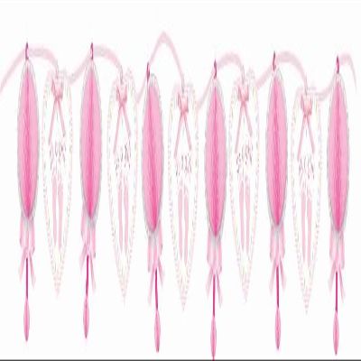 amscan Honeycomb Trimmer Baby Soft Pink