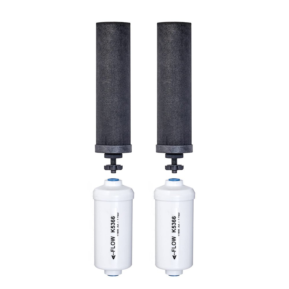 Set of 2 Berkey Authentic Black Berkey Elements (BB9-2) and 2 PF-2 Fluoride Reduction Elements - Combo Pack