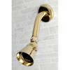 Kingston Brass K133A2 Designer Trimscape Showerscape 2-1/4-Inch Shower Head, Polished Brass view 2