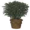 Autograph Foliages A-200-37 Inch Polyblend Taxus Yew - Green view 1