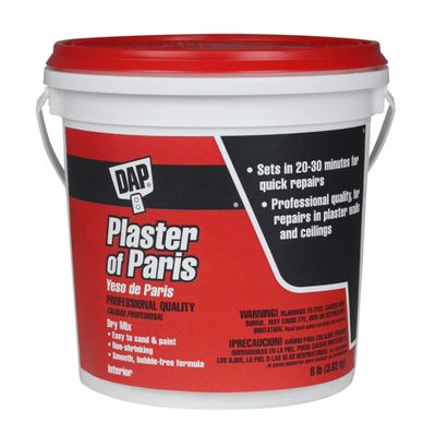 Plaster of Paris 8lb Wht