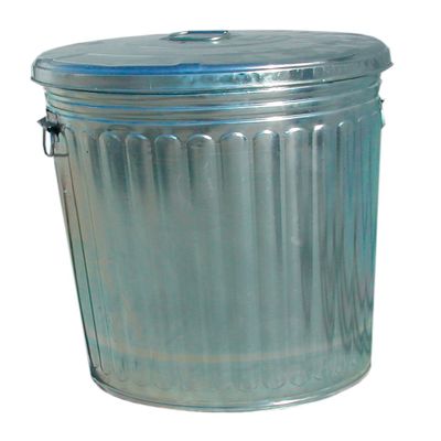 Magnolia Brush 20-Gallon Pre-Galvanized Trash Can with Lid