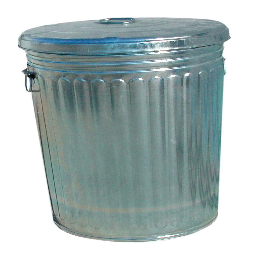 Magnolia Brush 20-Gallon Pre-Galvanized Trash Can with Lid