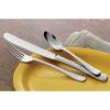 Aspire S/S 6" Teaspoon view 2