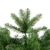 Vickerman 8.5' x 40" Salem Pencil Pine Artificial Christmas Tree with 859 PVC Tips, Metal Hinged Branches, and Metal Tree Stand view 2
