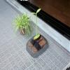Chopla Industry 612160 Veranda Sandal Cover Futaba view 2