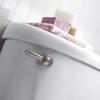 Moen Y2601BN Banbury Pivoting Tank Lever, Brushed Nickel view 2