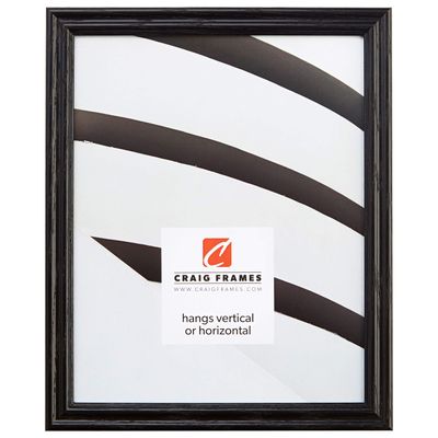 Craig Frames 200ASHBK 0.75-Inch Wide Picture/Poster Frames with Wood Grain Finish, 9 by 18-Inch, Black