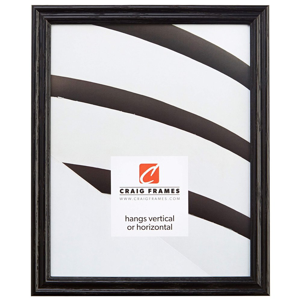 Craig Frames 200ASHBK 0.75-Inch Wide Picture/Poster Frames with Wood Grain Finish, 9 by 18-Inch, Black