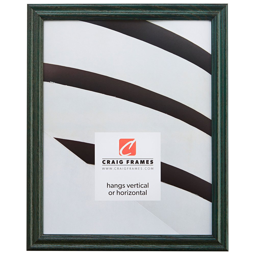 Craig Frames 200ASH 20 by 26-Inch Picture Frame, Wood Grain Finish, 0.75" Wide, Green