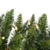Vickerman 7.5' Durham Pole Pine Artificial Christmas Tree - Warm White LED Dura-lit Lights - Faux Christmas Tree - Seasonal Indoor Home Decor - Reliable and Durable view 2