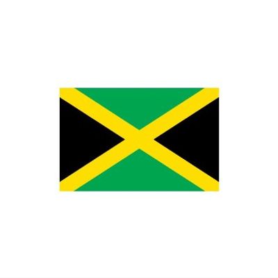 Flag Wall Decals - Flag of Jamaica - 12 inch Removable Graphic