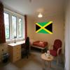 Flag Wall Decals - Flag of Jamaica - 12 inch Removable Graphic view 3