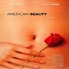 (11x17) American Beauty - Look Closer Movie Poster view 1