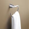 KOHLER Towel Ring, Bathroom-Towel Ring, Alteo Collection, Polished Chrome, K-37057-CP view 2