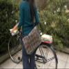 Danica Studio Laminated Messenger/Diaper Bag, Bespoke view 2