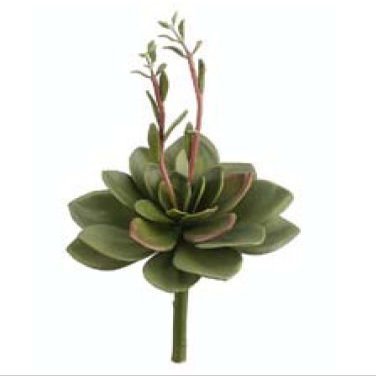 12" Foam Echeveria w/Blooms Green (Pack of 12)