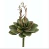 12" Foam Echeveria w/Blooms Green (Pack of 12) view 1