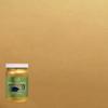 qt Modern Masters ME200 Pale Gold Metallic Paint Collection, Satin Water-Based Decorative Metallic Paint view 2