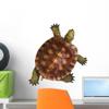 Turtle Top View Wall Decal Removable Vinyl Wall Sticker Easy Peel & Stick 18" view 1