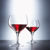 Schott Zwiesel Tritan Crystal Glass Mondial Stemware Collection Burgundy/All Purpose Red Wine Glass, 10.9-Ounce, Set of 6 view 3