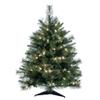 Vickerman 3' Tall Cashmere Pine Artificial Christmas Tree, 100 Warm White Dura-Lit LED Lights - 223 PVC Tips - Faux Christmas Tree - Seasonal Indoor Home Decor view 1