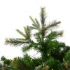 Vickerman 3' Tall Cashmere Pine Artificial Christmas Tree, 100 Warm White Dura-Lit LED Lights - 223 PVC Tips - Faux Christmas Tree - Seasonal Indoor Home Decor view 2