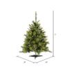 Vickerman 3' Tall Cashmere Pine Artificial Christmas Tree, 100 Warm White Dura-Lit LED Lights - 223 PVC Tips - Faux Christmas Tree - Seasonal Indoor Home Decor view 4