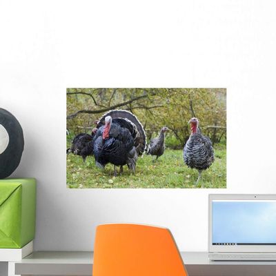 Wallmonkeys Turkey Yard Wall Mural Peel and Stick Graphic (18 in W x 11 in H) WM153035