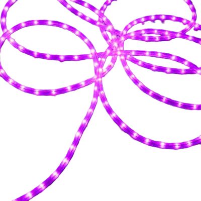 Hofert Commercial Length Christmas Rope Lights - 100' - Purple - White Wire