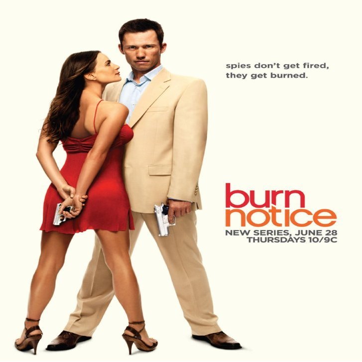(11x17) Burn Notice Style A2 Poster