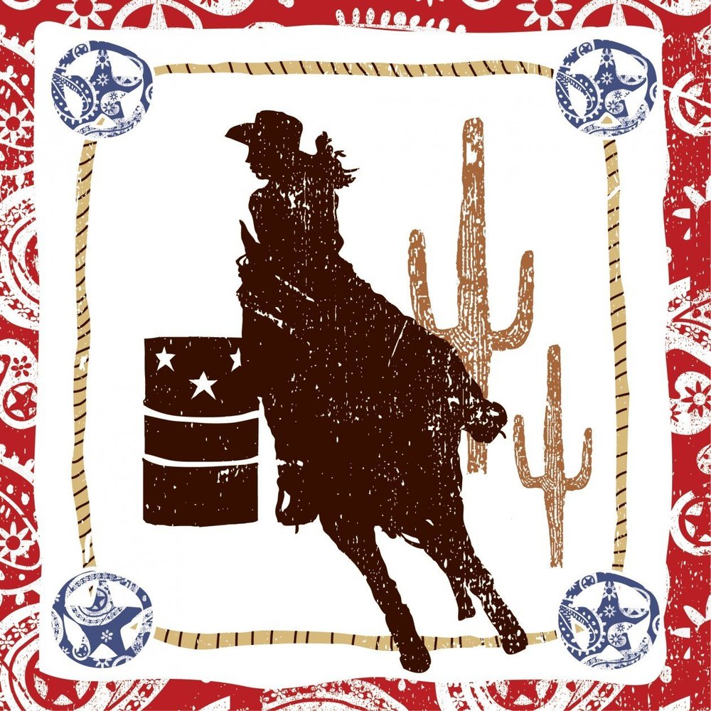 Western Lasso Cowgirl Lunch Napkins (16 count) Party Accessory