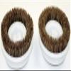 Genuine Koblenz Scrubbing Brushes for Model P-4000 view 1
