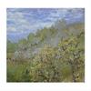 Baume in Blute by Claude Monet 28 X 39 Art Print Poster view 1