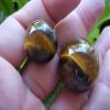 E3708 Gemqz Tiger EYE Carved Sphere Pair Nice !! view 1