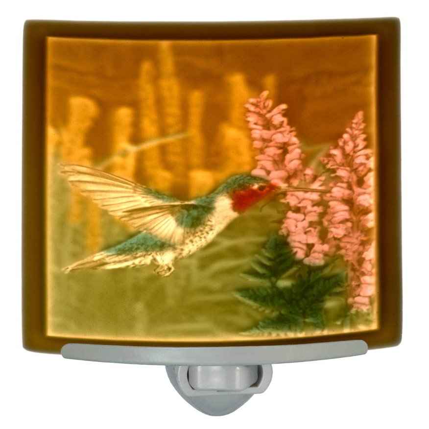 The Porcelain Garden Hummingbird Colored Porcelain Lithophane Night Light, Sweet Nectar, Decorative Wall Plug in for Bedroom, Kitchen, Bath