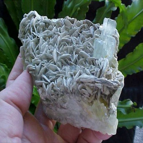 E5403 Gemqz Aquamarine & Muscovite Cluster Large Plate