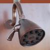 8 Jet Giessdorf Shower Head with High Rise Arm-Oil Rubbed Bronze view 1