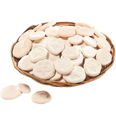 Fun Express Real Sand Dollars Plus Decorative Basket (50 Dollars)