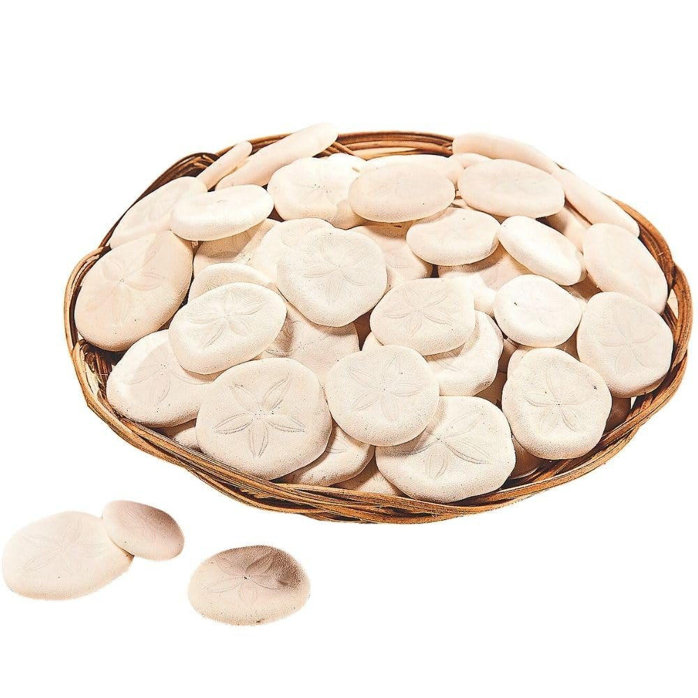 Fun Express Real Sand Dollars Plus Decorative Basket (50 Dollars)